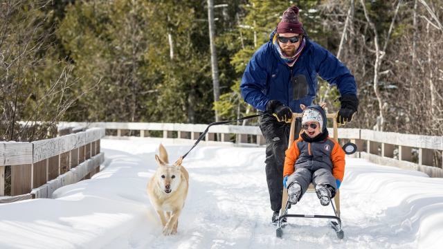 Sur un sentier de neige, un homme pousse un enfant tout sourire assis dans une trottinette des neige, et un chien blond court à leur côté.   