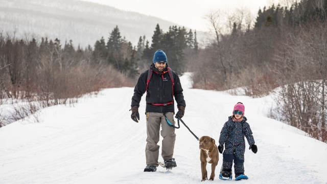 Un homme tenant un chien en laisse fait de la raquette avec un enfant dans un sentier. 