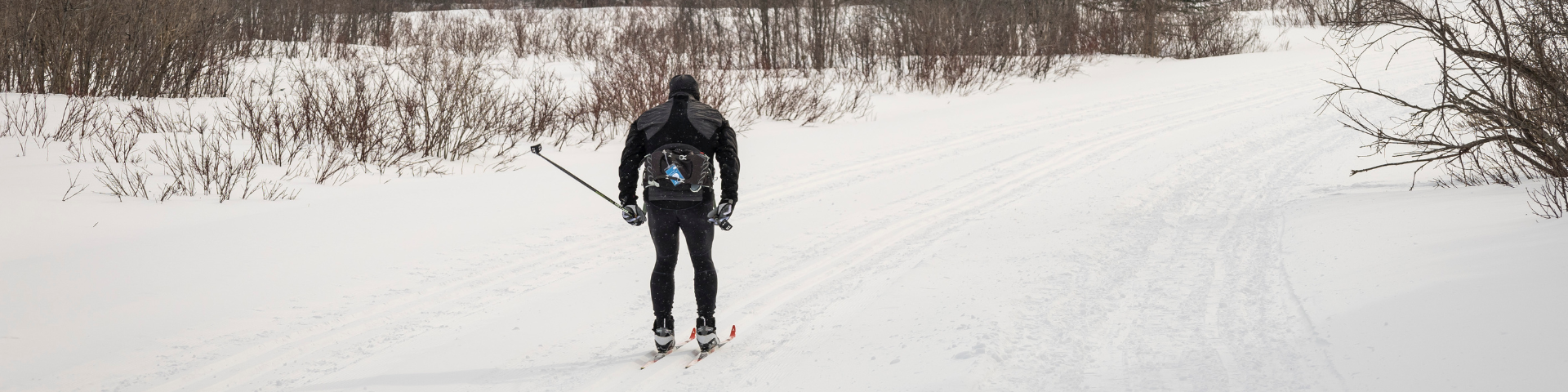 Cross-country skier on a groomed trail.