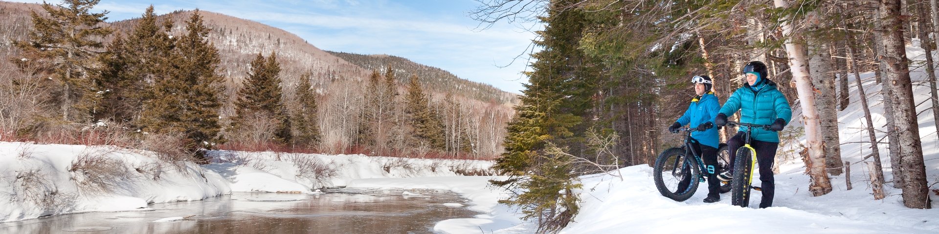 Two fatbike amateurs contemplate a river in winter. 