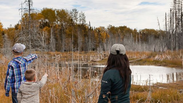 A Parks Canada employee shows a beaved pond to a group of visitors