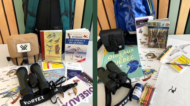 Bird watching kit