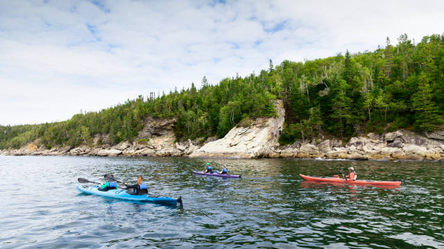 kayakists along the smoothe cliffs of the south area of Forillon.