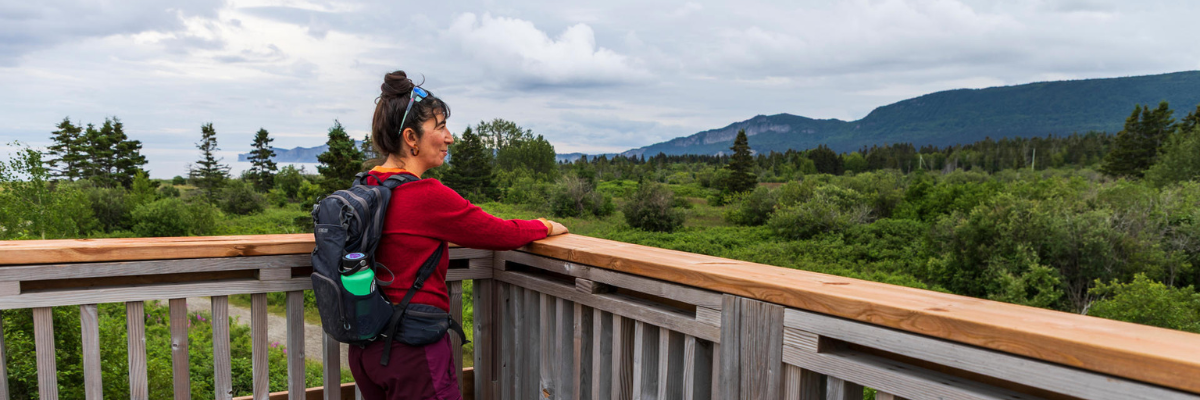 A hiker looks out over the mountain landscape from a viewing tower.