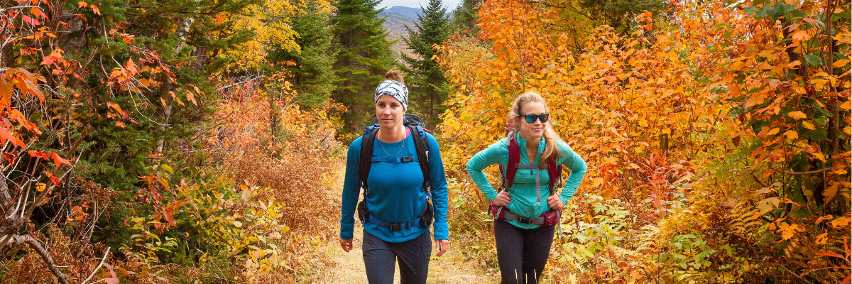 Two hikers are walking through a forest ablaze with autumn colours.