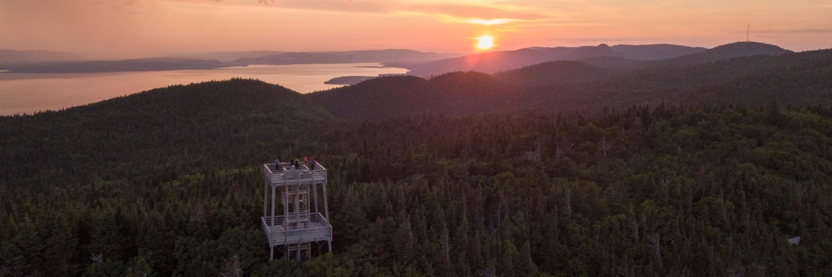 Aerial view of the Mont-St-Alban tower at sunset.