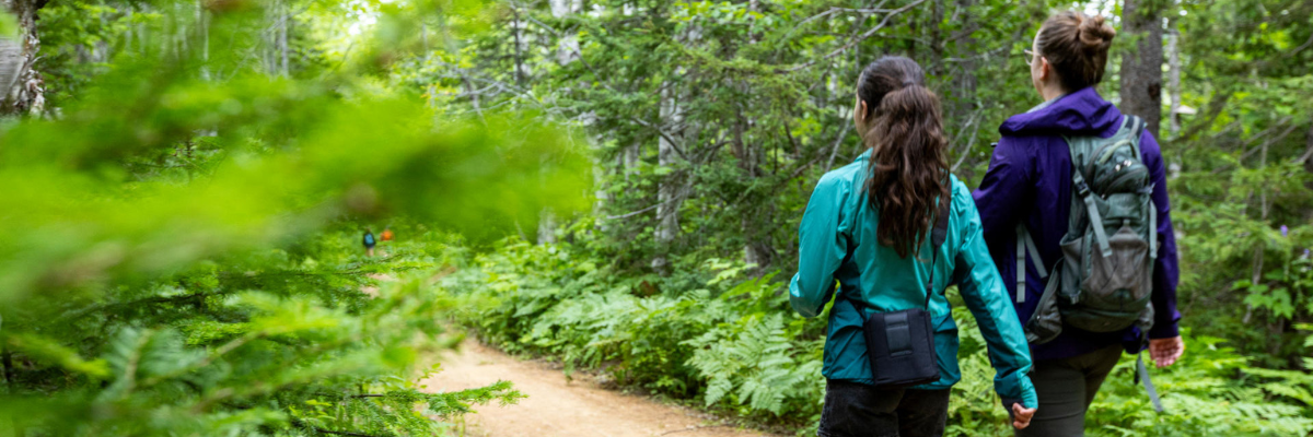 Two hikers on a forest path.