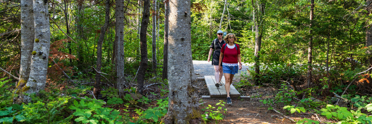 Two hikers in an open section of the Ruisseau trail.