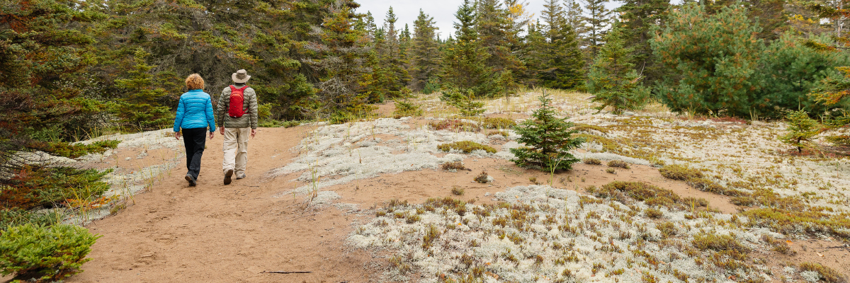 Two hikers on a taiga trail.