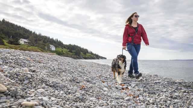 A visitor and her dog walk on a pebble beach.