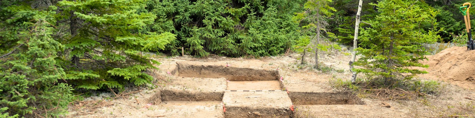 Archaeological digging zone in a forest.