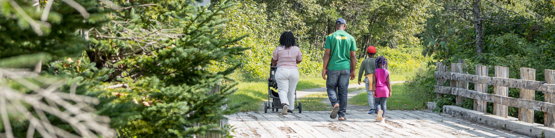 Quatre marcheurs traversent un pont de bois en forêt. 