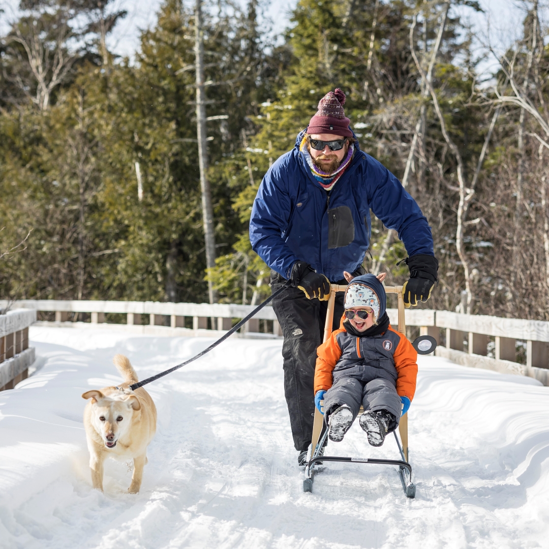 A man pushes a kid in a snowglider while a dog runs aside. 
