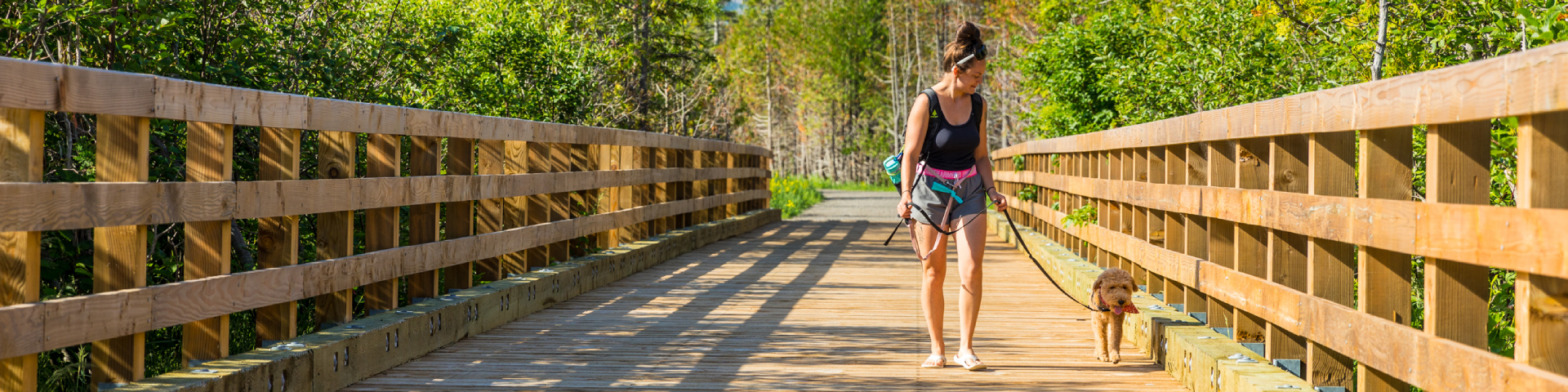 Une randonneuse et son chien en laisse traversent un pont de bois 