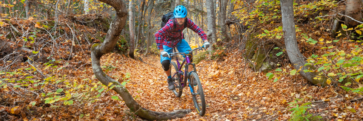 A cyclist rides down a trail in autumn. 
