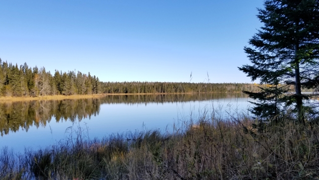 Renard lake