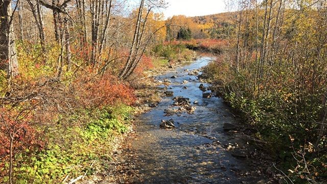 L'Anse-au-Griffon valley