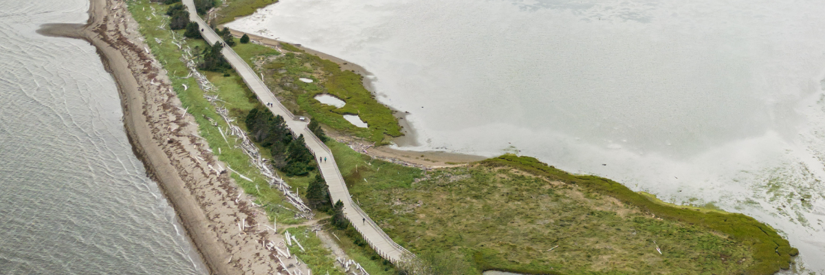 View of Penouille from above.