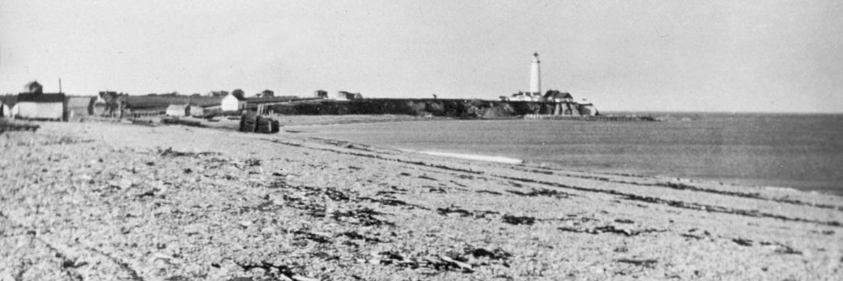 Black and white picture of a pebble beach.