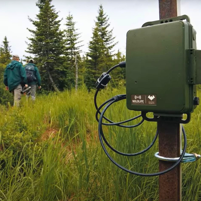 Sound recorder with employee in the background