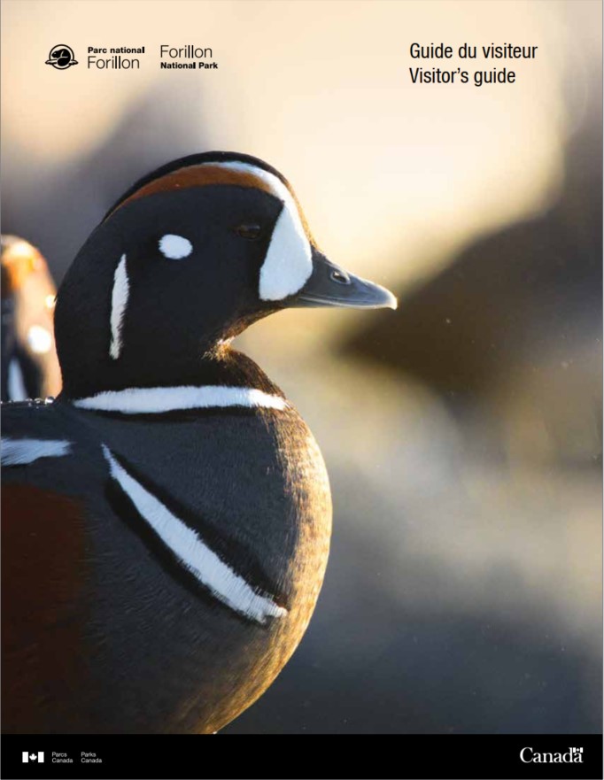 Cover of the Visitor's guide showing a male Harlequin Duck.