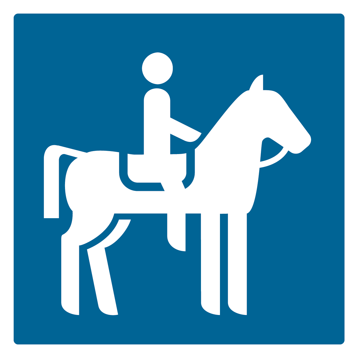 équitation