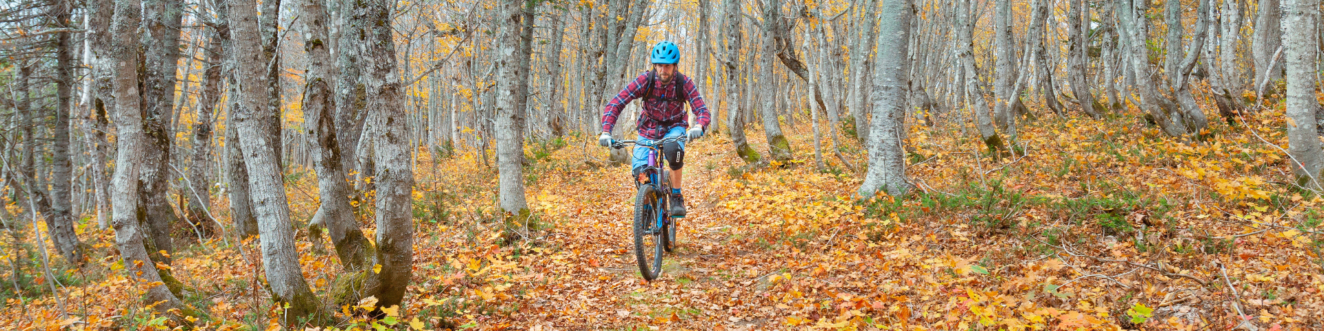 A visitor rides a mountain bike in the fall on a trail.