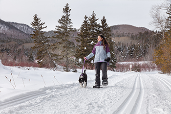 Une femme fait de la raquette avec son chien en laisse l'hiver, à côté d'un sentier de ski de fond.