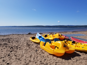 Pedal boating on a beach.