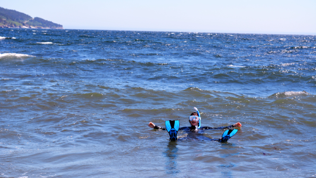 A woman enjoys scuba diving