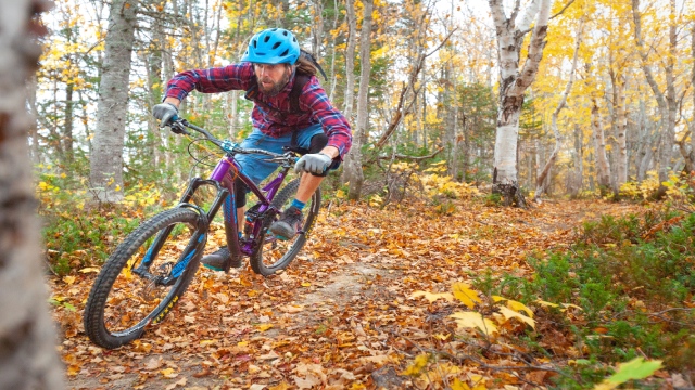 Un homme à vélo de montagne dévale un sentier sur un tapis de feuilles d'automne.
