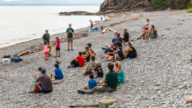 A group of visitors attend a seaside interpretation activity.