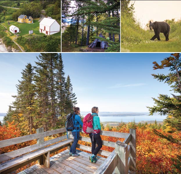 Four images: 1. A historic homestead, 2. A wigwam, 3. A black bear, 4. Two people at a viewpoint in autumn.