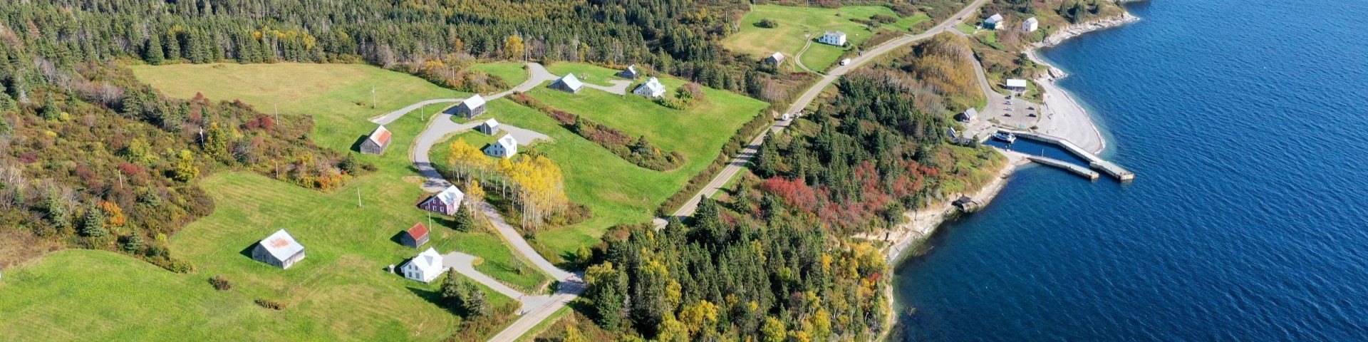  Aerial view of heritage houses and buildings on a hillside.