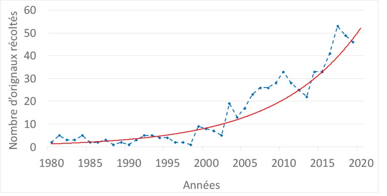 Figure 2. Nombre d’orignaux récoltés à moins de 5 km des limites du parc national Forillon (1980 et 2020) — la version textuelle suit.