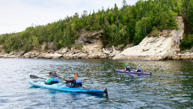 Two kayakists alongside the coast of Forillon.