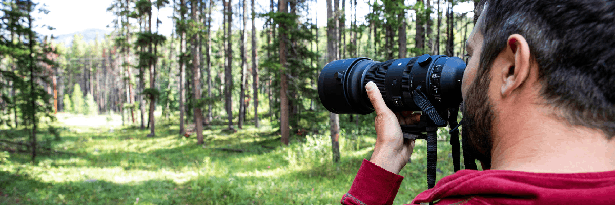 A visitor photographs a forest landscape with a camera equipped with a large telephoto lens.