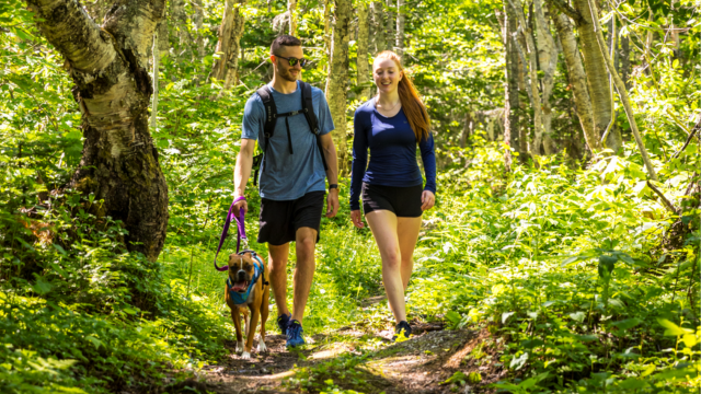 Two hikers walk in the forest with their dog on a leash.