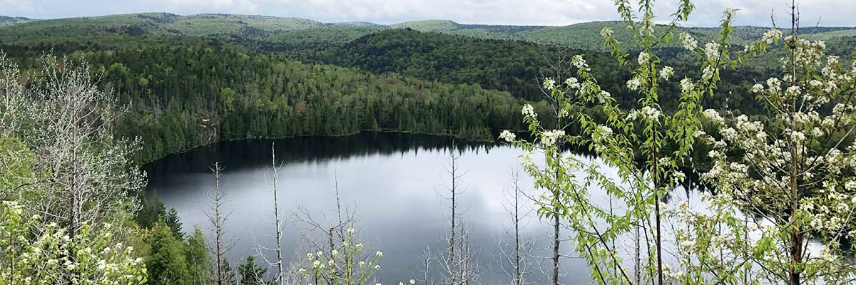 Le sentier du Lac-Solitaire au printemps.