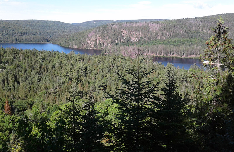 A beautiful view of a forest, a lake and hills.