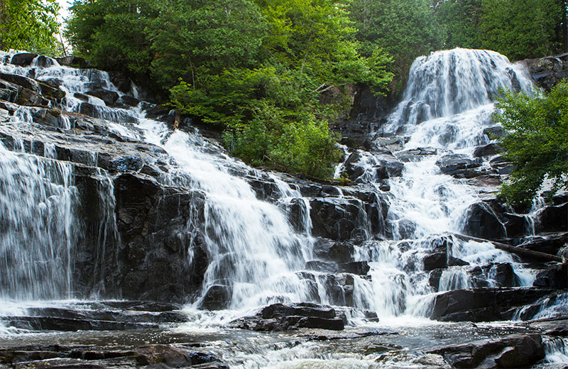 Water cascades down a rock face in the forest.