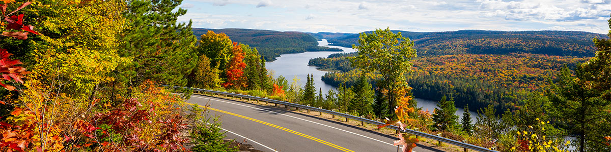 A road crosses a forest. In the distance, we can see a lake winding through the hills.