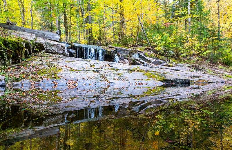Water cascades down a rock face in the forest.