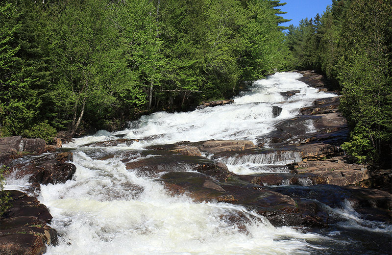Water cascades down a rock face in the forest.