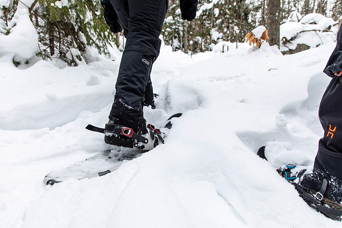 Image sur les jambes d’une personne avec un habit de neige marchant en raquette dans un sentier enneigé. Une autre personne, à qui on voit aussi juste les jambes, l’accompagne. Une forêt est en arrière-plan.