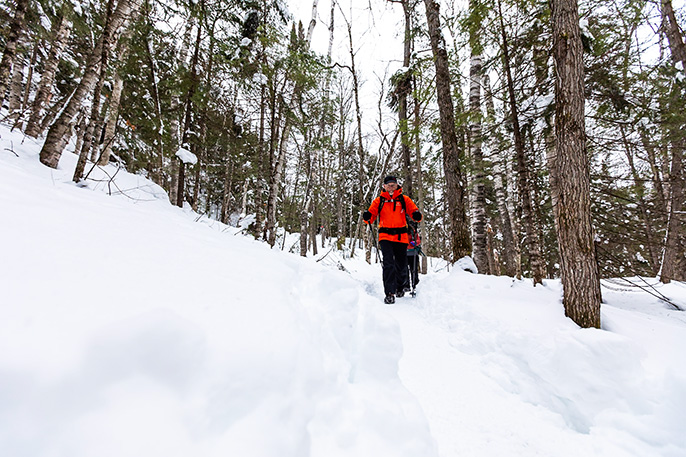 A senior walking on a winter hiking trail wearing an orange coat and black cap. He is equipped with walking poles and a black backpack. One person follows behind him. All around them, conifers and birch trees under a cloudy sky.