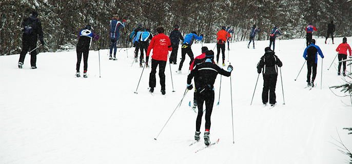 Competitors of a cross-country ski race.