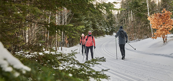 Deux femmes faisant du ski de fond se dirigent vers l’objectif de la photographie. Un homme se dirige en direction contraire vers la forêt. Des branches de conifères sont à l’avant-plan de la photo.