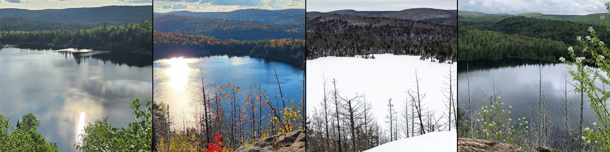 Le sentier du Lac-Solitaire au fil des saisons.