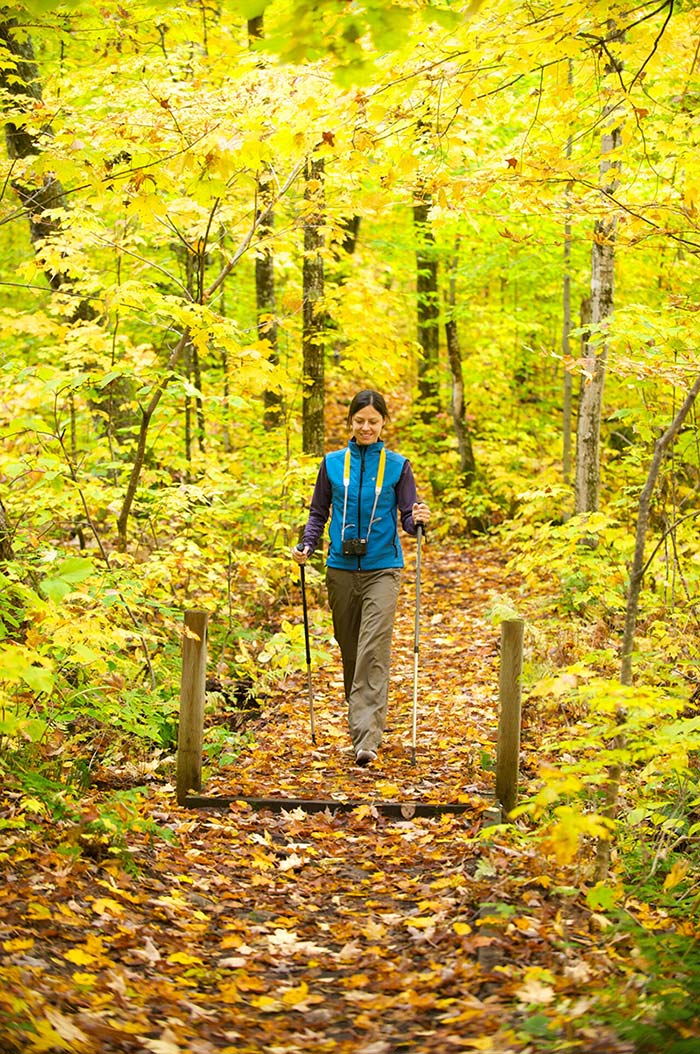 Young woman woalking in a forest in fall.